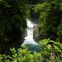 Torii