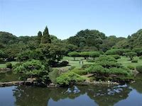 Torii