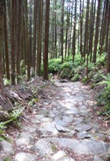 Kumano Kodo