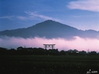 Torii