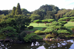 Torii